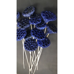 Lotus Pods Blue Glitter 2.5"-3" (12)